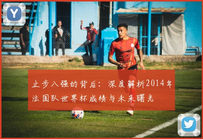 止步八强的背后:深度解析2014年法国队世界杯成绩与未来曙光