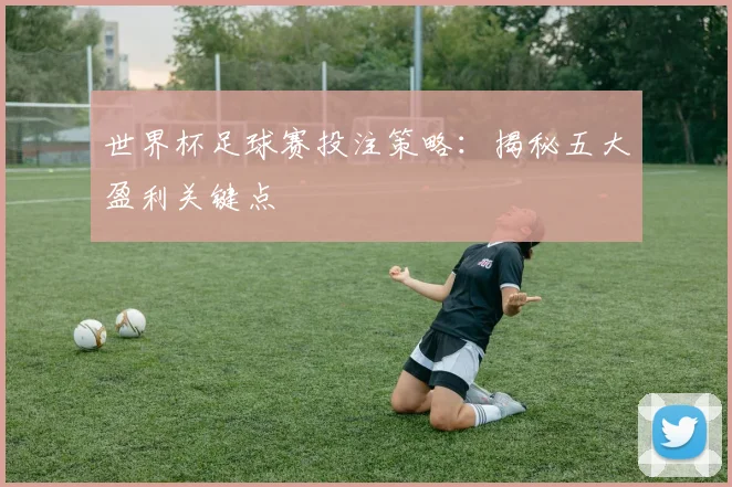 世界杯足球赛投注策略：揭秘五大盈利关键点