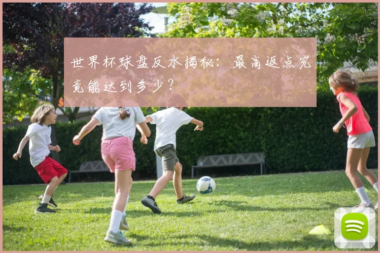 世界杯球盘反水揭秘:最高返点究竟能达到多少?
