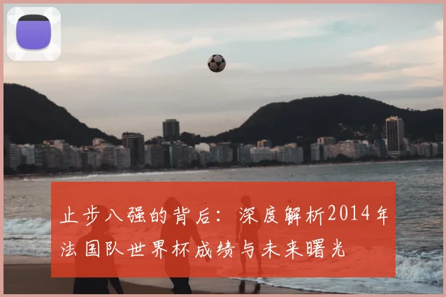 止步八强的背后:深度解析2014年法国队世界杯成绩与未来曙光