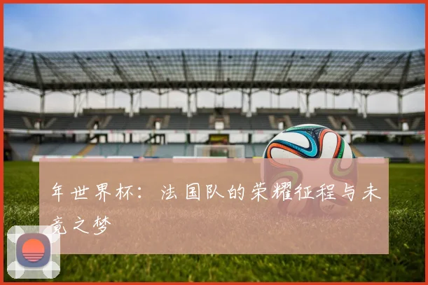 年世界杯：法国队的荣耀征程与未竟之梦