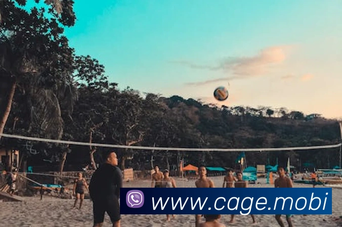 开云官方登陆入口APP 封面图